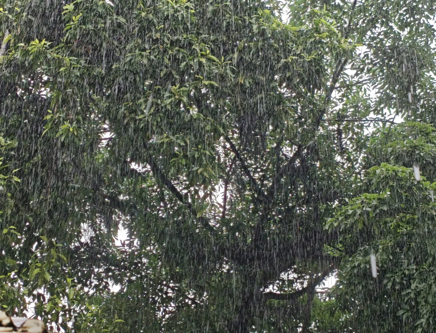 山城骤雨锁整日,暂歇奔波盼来日 -心情随笔
